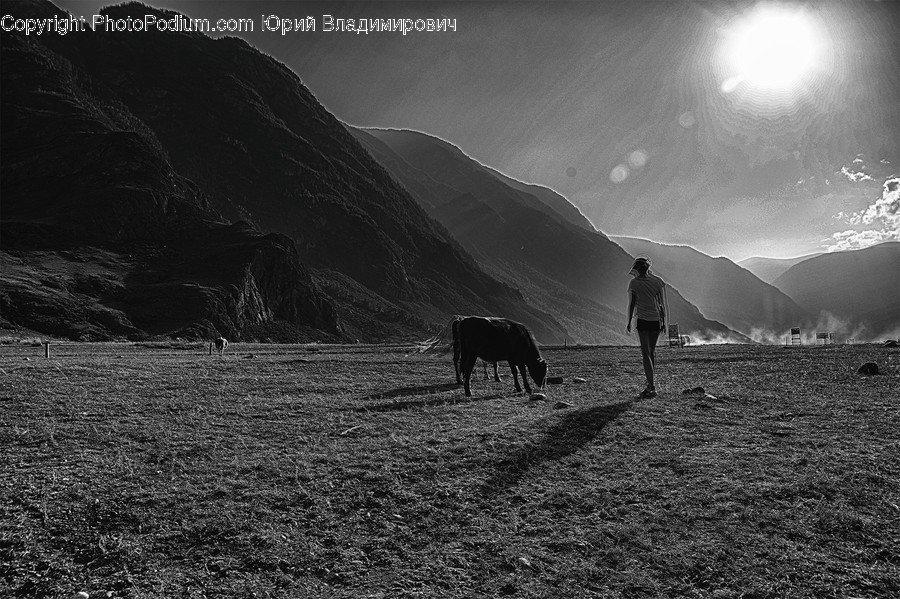 Human, Person, Nature, Outdoors, Field