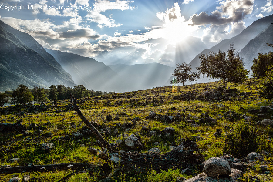 Light, Flare, Nature, Outdoors, Sunlight