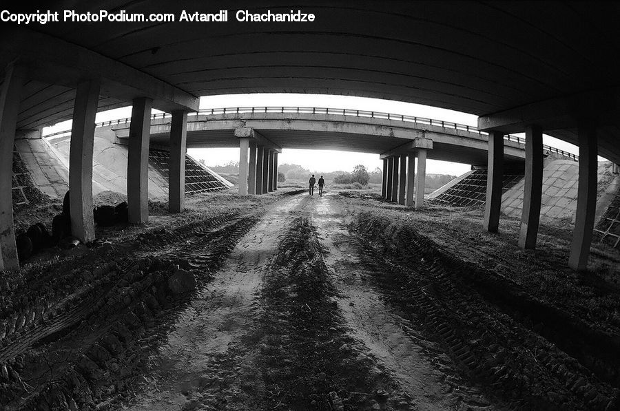 Path, Trail, Road, Plant, Tree
