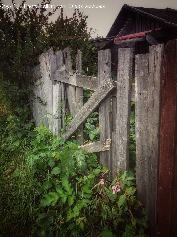 Nature, Outdoors, Building, Countryside, Rural