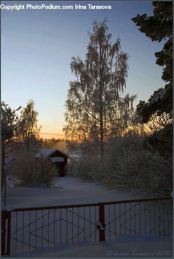 Ice, Outdoors, Snow, Park Bench, Plant, Tree, Landscape