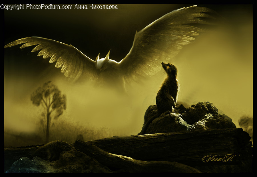 Animal, Bird, Mammal, Art, Pet