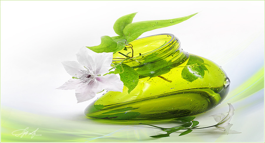 Green, Plant, Jar, Drink, Beverage