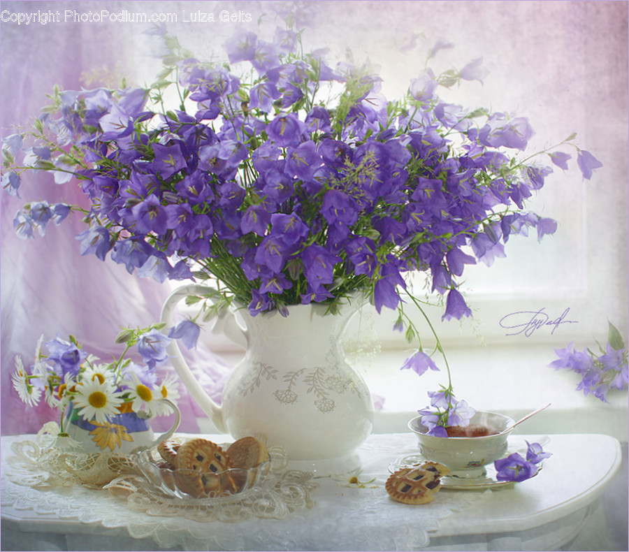 Plant, Flower, Blossom, Flower Arrangement, Flower Bouquet