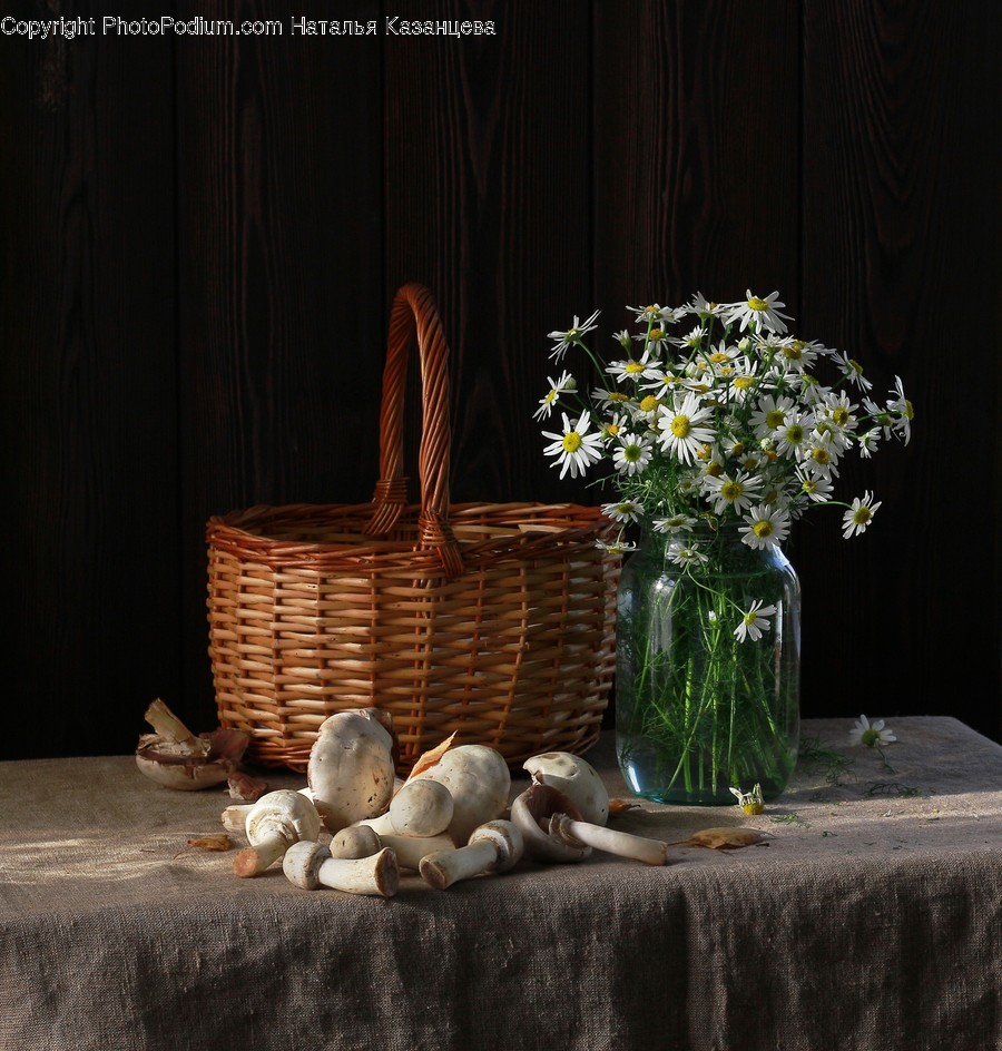 Plant, Blossom, Flower, Flower Arrangement, Basket