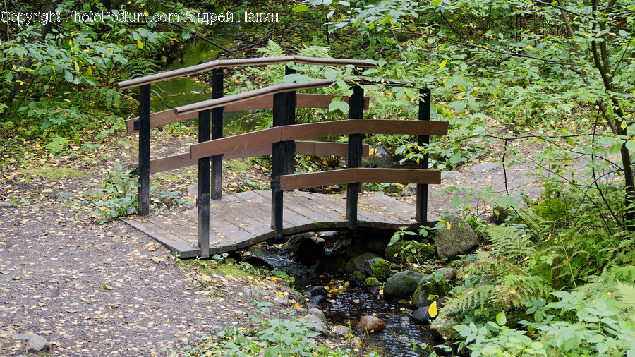 Outdoors, Handrail, Banister, Water, Railing