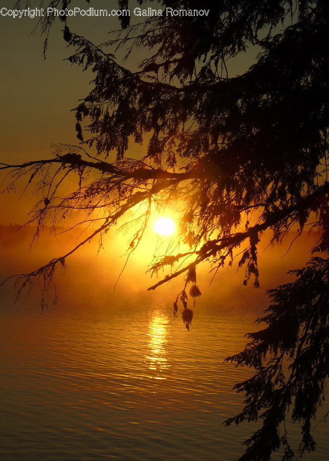 Nature, Outdoors, Sunlight, Flare, Light