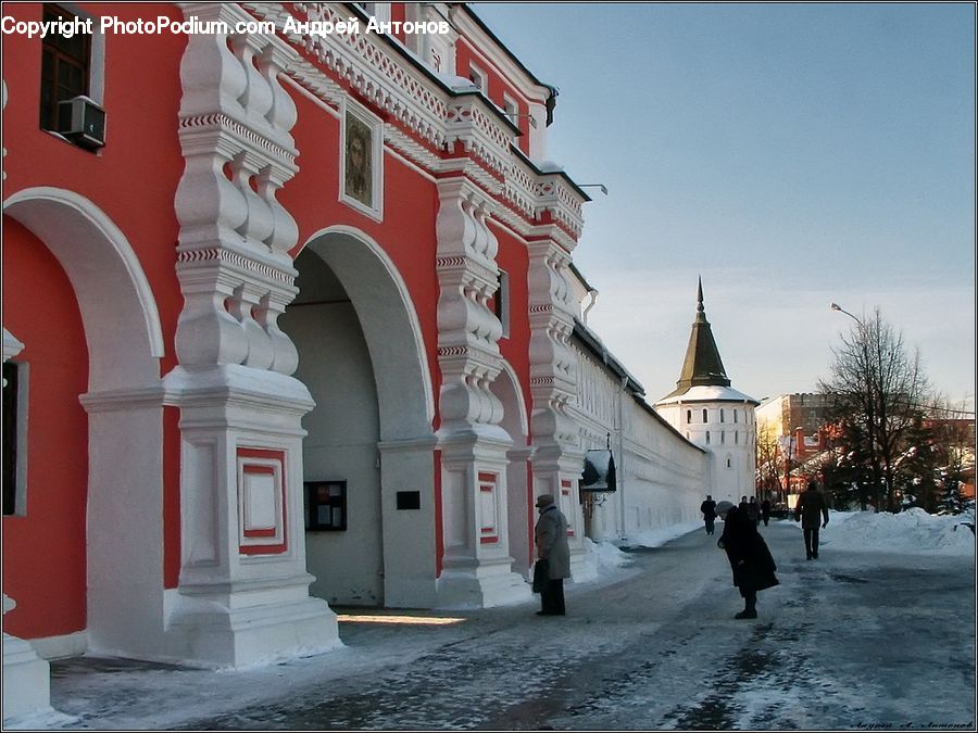 Plant, Potted Plant, Arch, Ice, Outdoors, Snow, Building