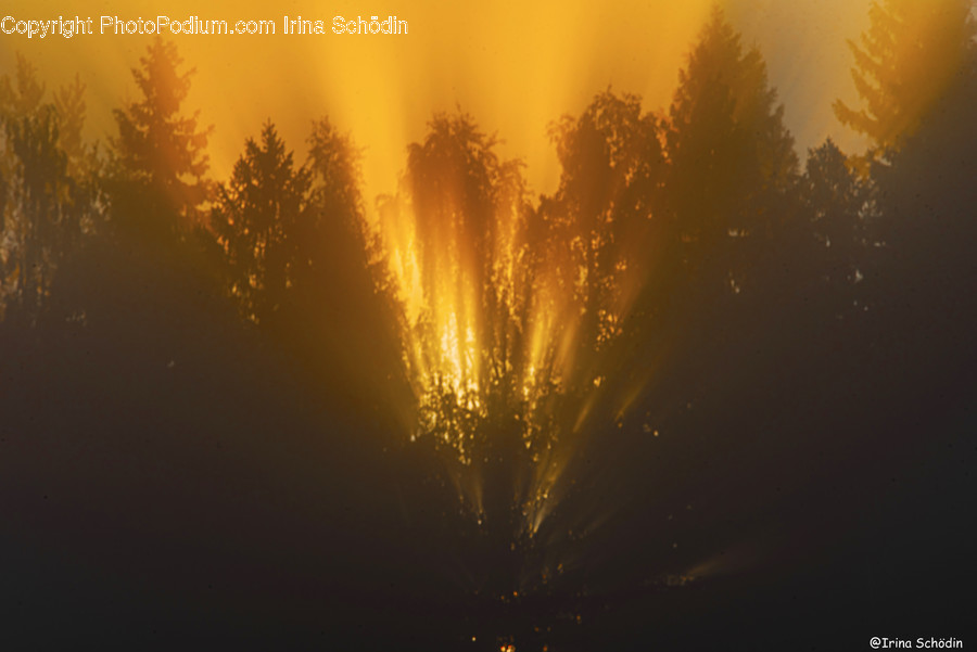Flare, Light, Nature, Weather, Outdoors
