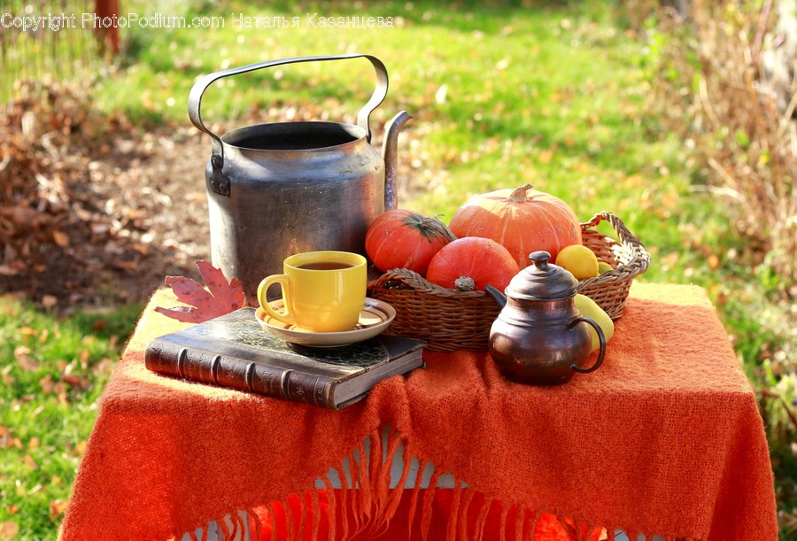 Plant, Pumpkin, Food, Vegetable, Produce