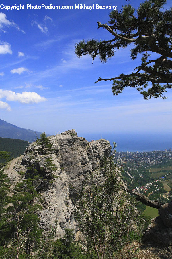 Crest, Mountain, Outdoors, Peak, Wilderness, Forest, Grove