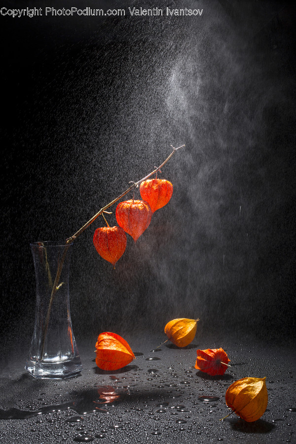 Plant, Produce, Food, Fruit, Glass
