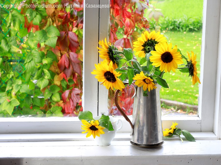 Plant, Flower, Blossom, Sunflower, Flower Arrangement