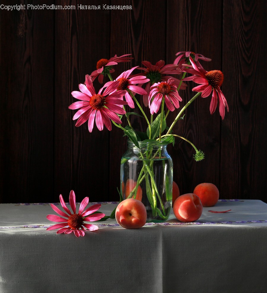 Plant, Blossom, Flower, Flower Arrangement, Flower Bouquet