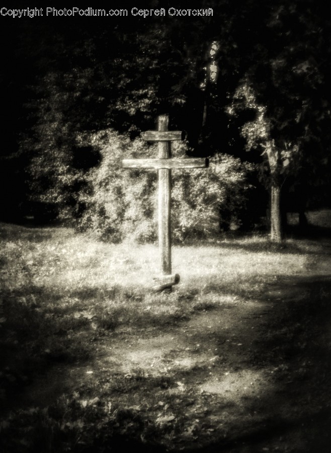 Symbol, Cross, Animal, Bird, Crucifix