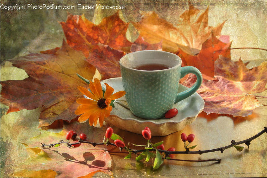 Leaf, Plant, Pottery, Saucer, Coffee Cup