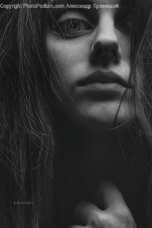Human, Person, Face, Photo, Portrait