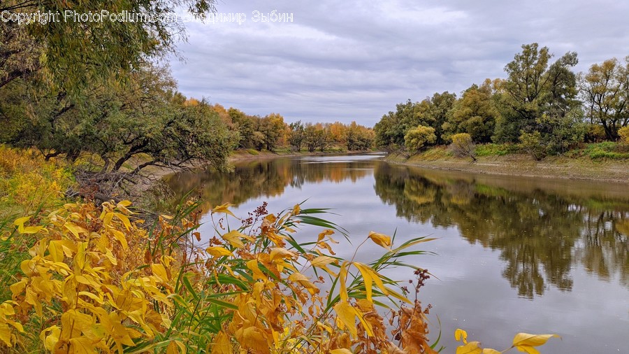 Water, Nature, Land, Outdoors, Pond