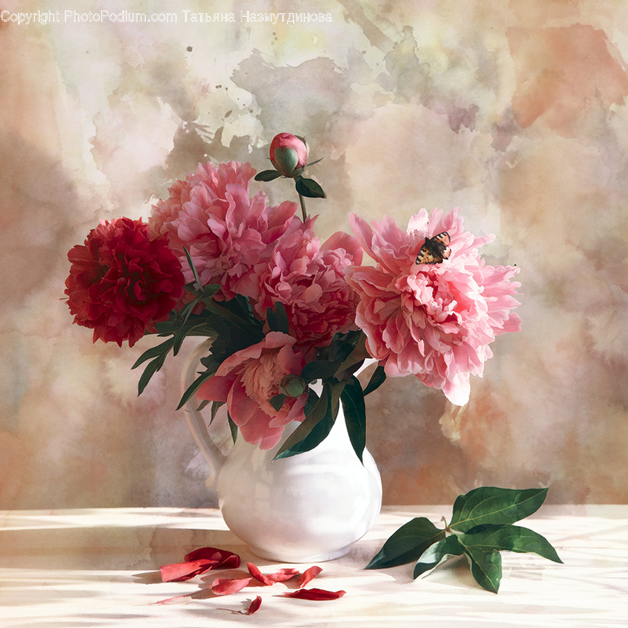 Plant, Blossom, Flower, Geranium, Peony