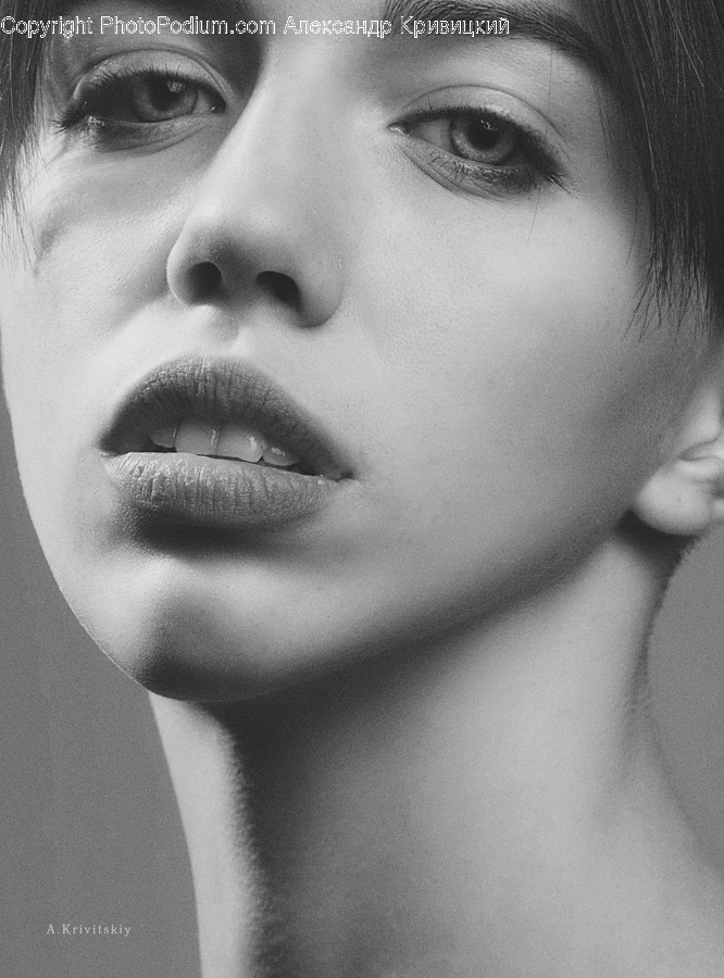 Human, Person, Face, Head, Portrait