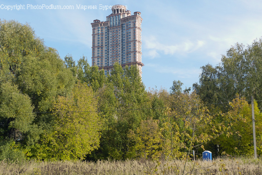 Building, Urban, City, Town, High Rise
