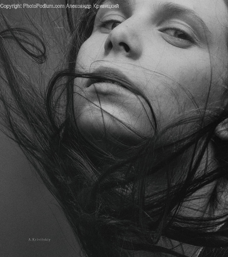 Face, Human, Person, Head, Drawing