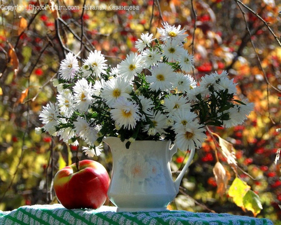 Apple, Fruit, Food, Plant, Blossom