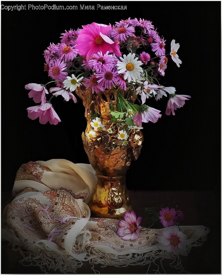 Plant, Flower, Blossom, Flower Arrangement, Flower Bouquet