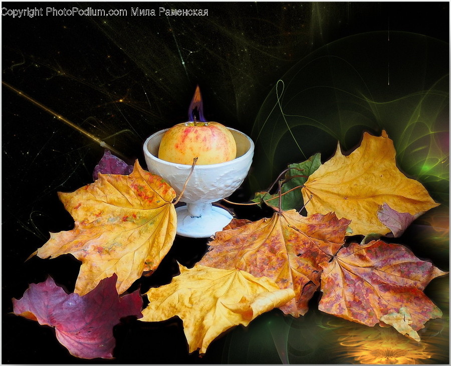 Leaf, Plant, Tree, Maple, Maple Leaf