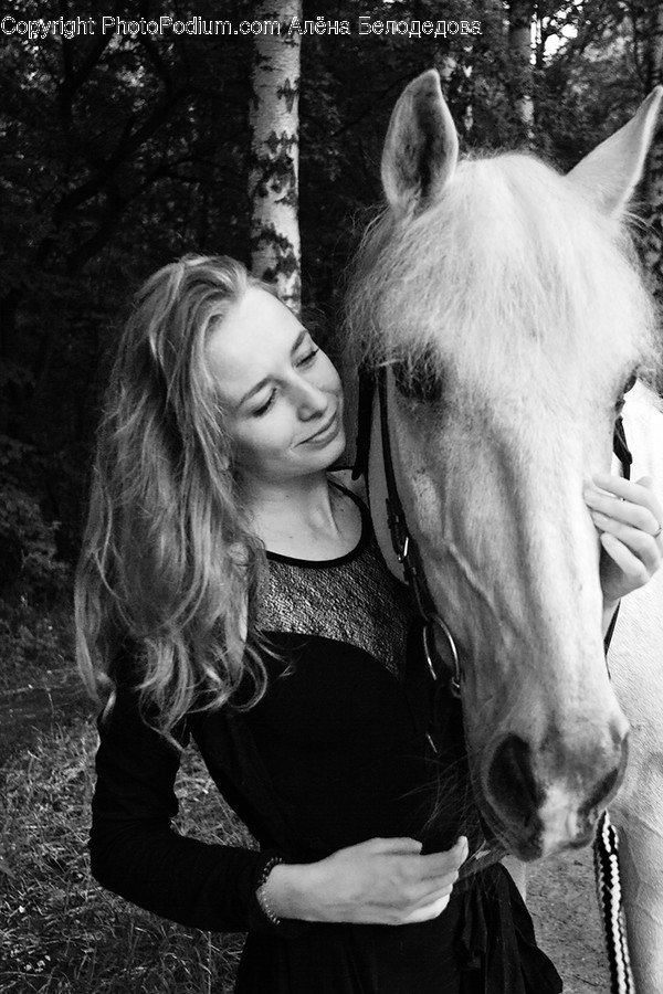 Mammal, Animal, Horse, Human, Person