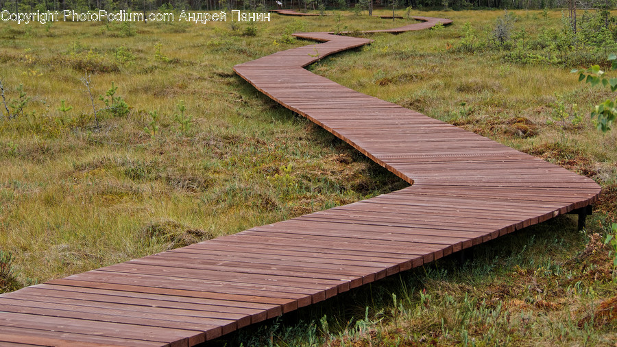 Building, Boardwalk, Bridge, Path, Wood