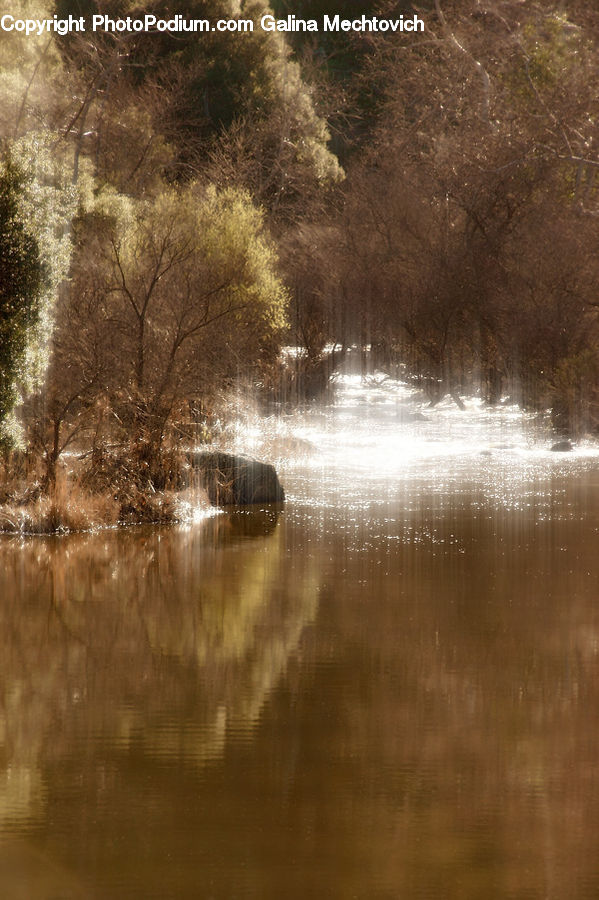 Outdoors, River, Water