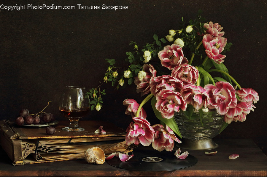 Plant, Flower, Blossom, Painting, Art