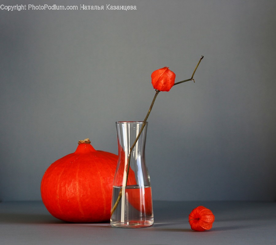 Jar, Pottery, Vase, Plant, Glass