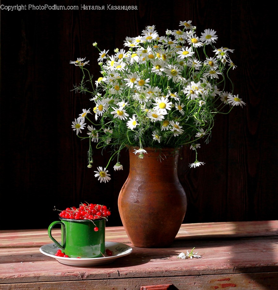 Plant, Blossom, Flower, Flower Arrangement, Flower Bouquet