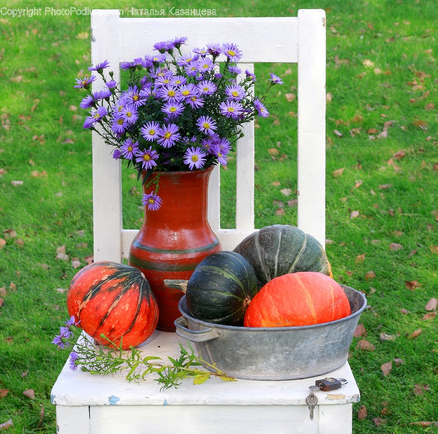 Plant, Food, Produce, Pumpkin, Vegetable