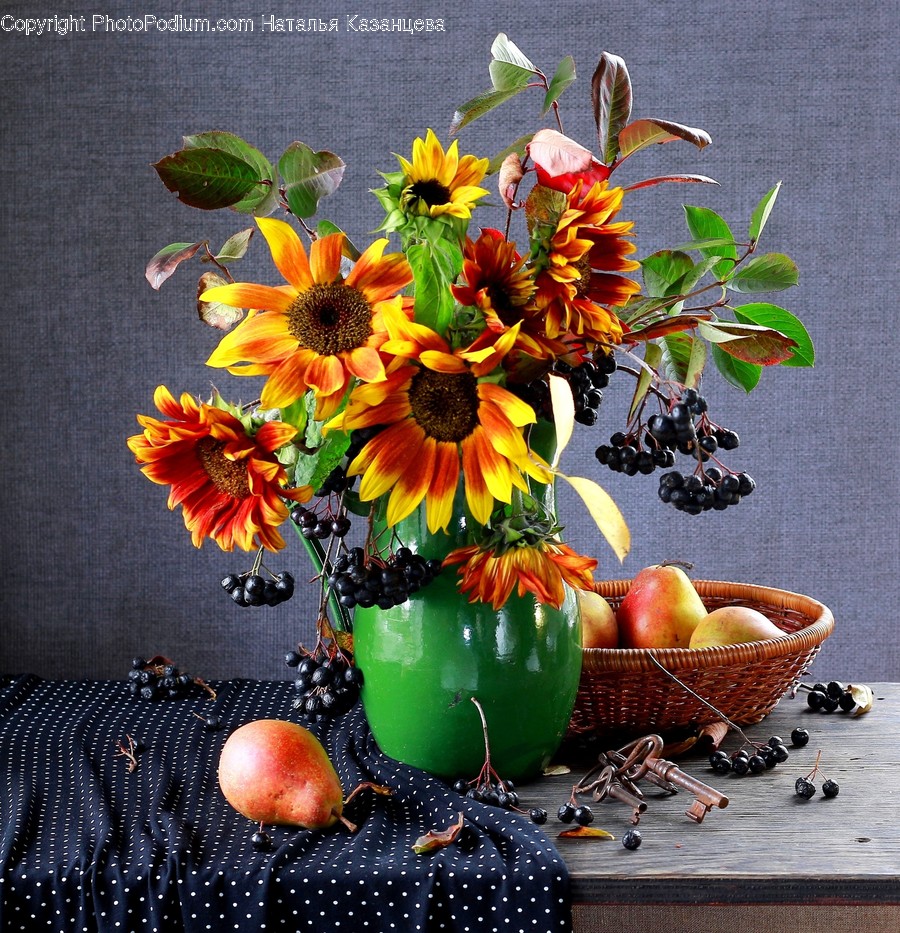 Plant, Food, Fruit, Blossom, Flower