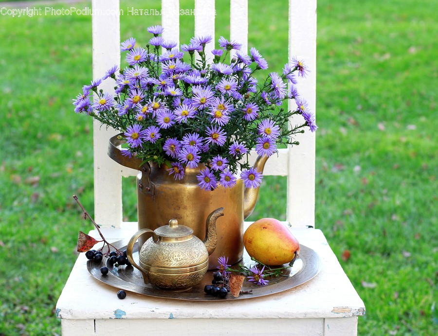 Plant, Pottery, Pot, Teapot, Blossom