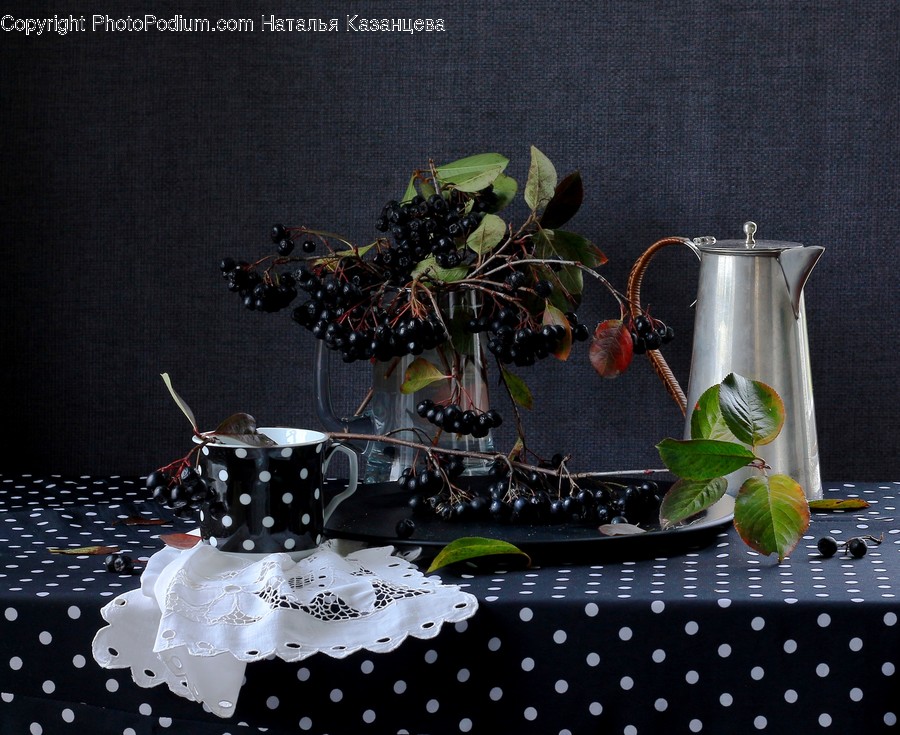 Plant, Blossom, Flower, Pottery, Flower Arrangement