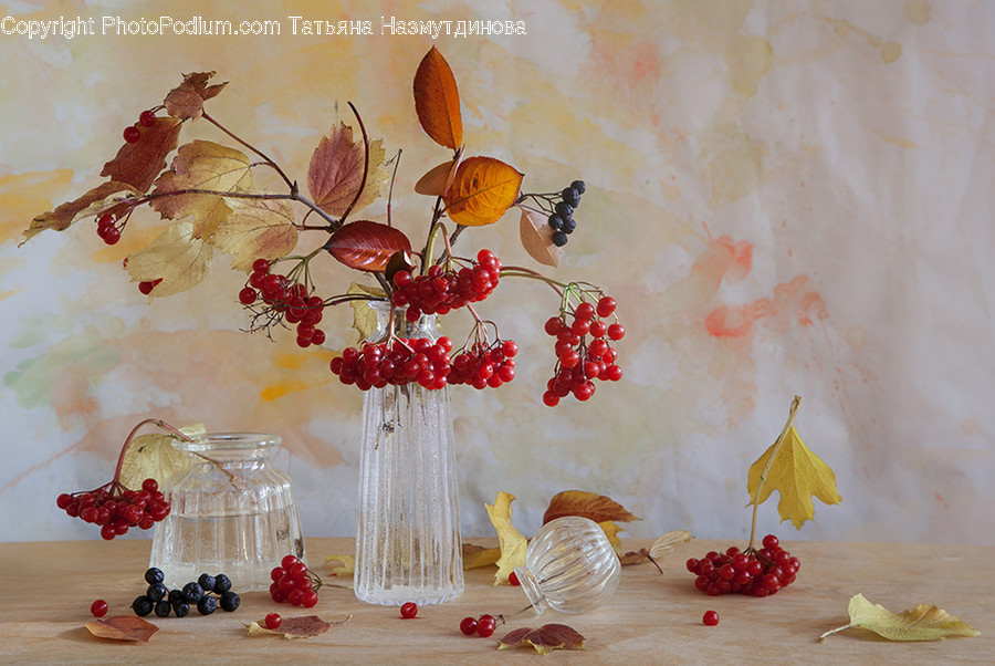 Plant, Blossom, Flower, Art, Painting