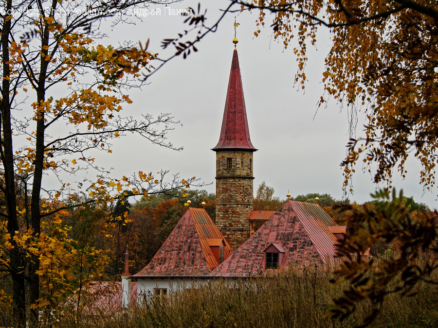 Architecture, Spire, Tower, Steeple, Building