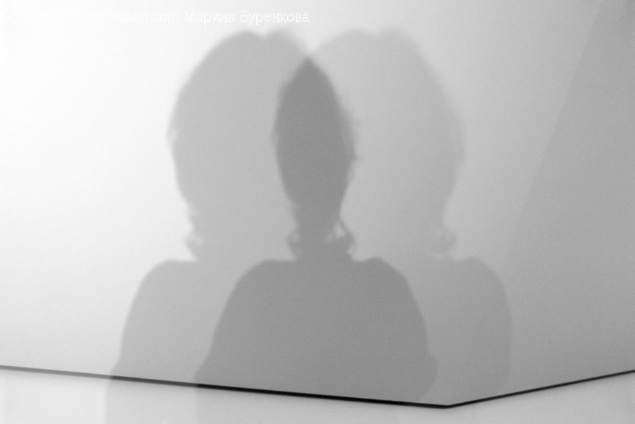 Silhouette, Mammal, Animal, Cat, Pet