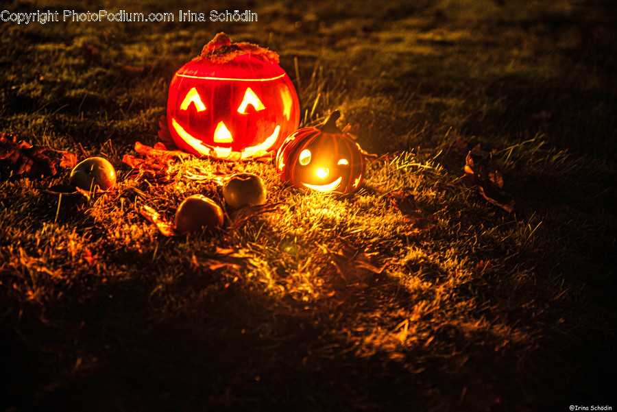 Plant, Food, Pumpkin, Vegetable, Bonfire