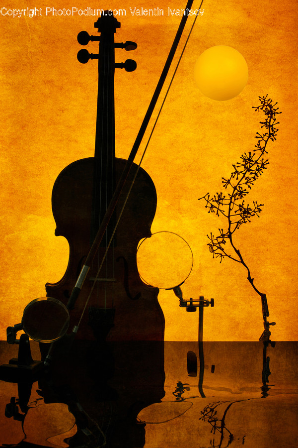 Musical Instrument, Leisure Activities, Cello, Fiddle, Violin