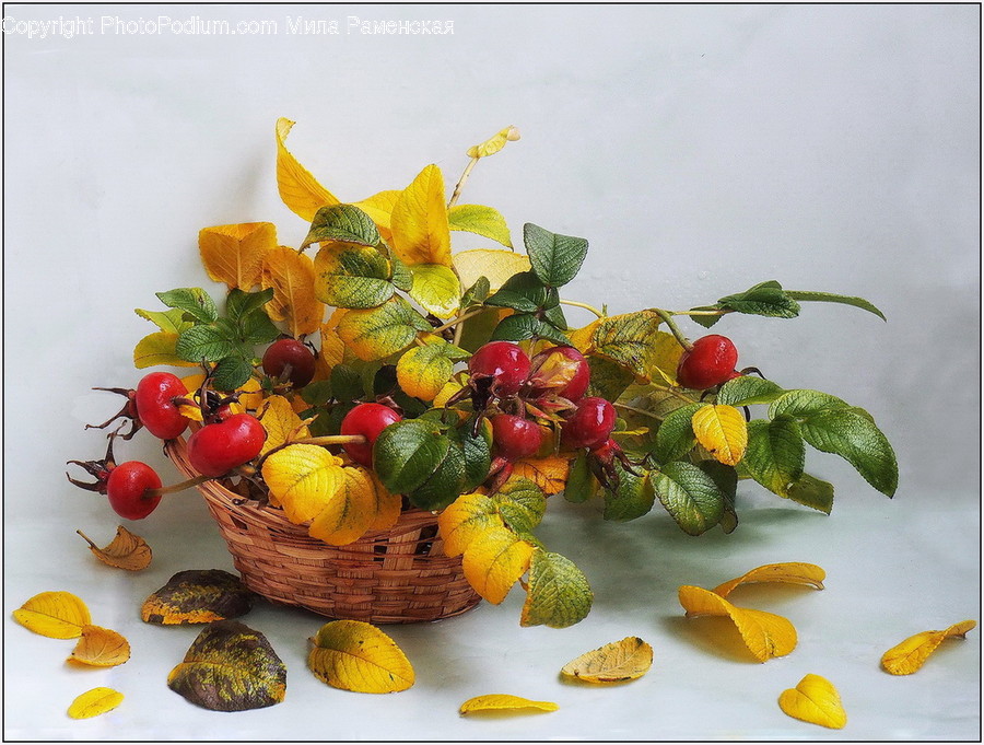 Plant, Leaf, Food, Produce, Fruit