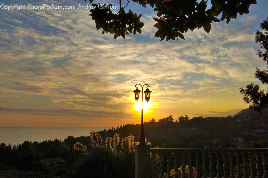 Nature, Flare, Light, Outdoors, Sunlight