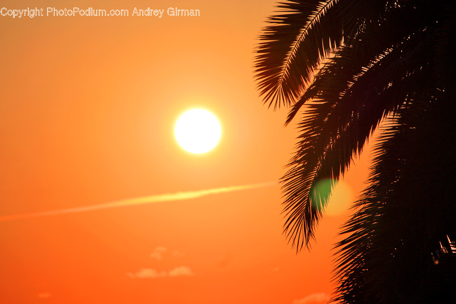 Nature, Sunlight, Outdoors, Sunset, Dusk
