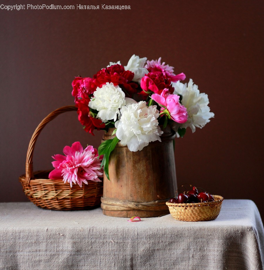 Plant, Flower, Blossom, Flower Bouquet, Flower Arrangement