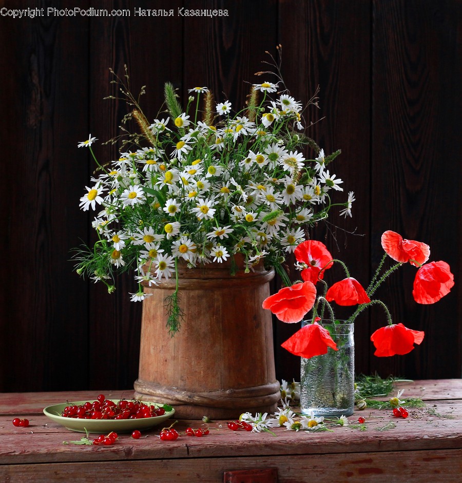 Plant, Flower, Blossom, Flower Arrangement, Flower Bouquet