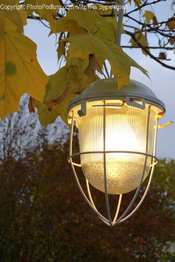 Lamp, Light Fixture, Lampshade, Lamp Post, Lantern